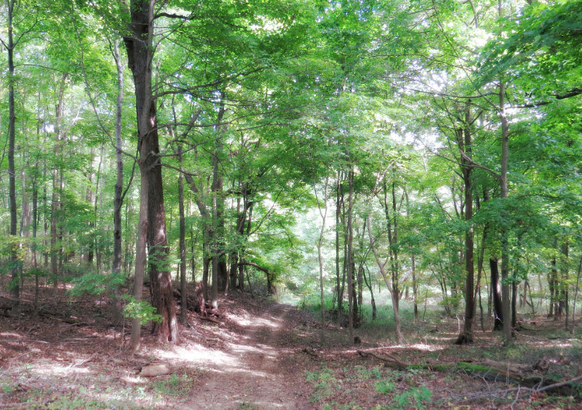 Ramser Arboretum, United States